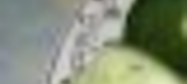 Салат «Пикадилли»