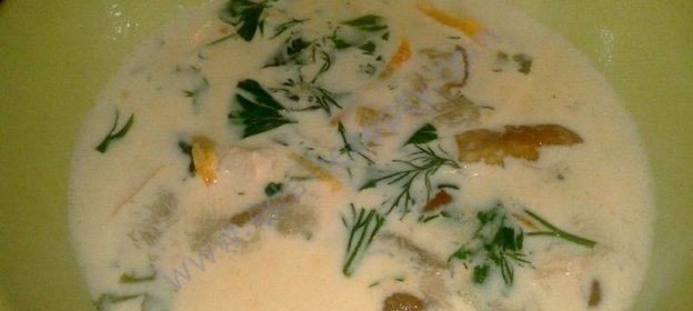 Суп из курицы с белыми грибами