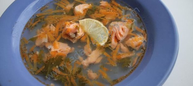 Лимонная уха из семги