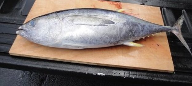 Десерт из яблок