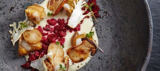 Черноморский рапан, белый гриб и три текстуры цветной капусты