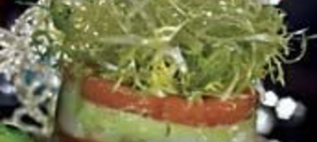 Этажер из морского гребешка с гуакамоле и крабами