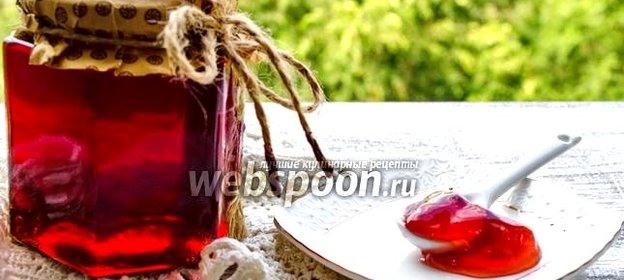 Желе из алычи на зиму