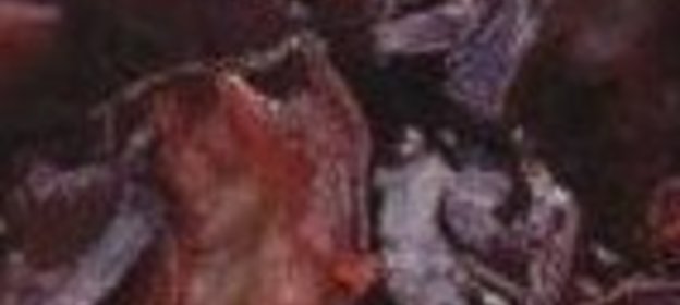 Универсальная приправа