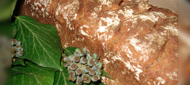 Хлеб КАШТАНОВЫЙ и с КАШТАНАМИ