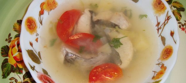 Уха из сома