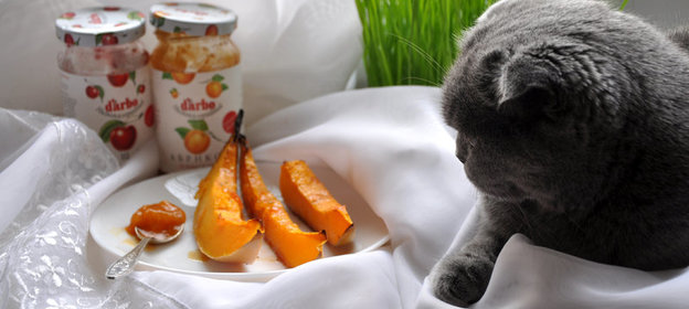 Тыква запеченная с Darbo