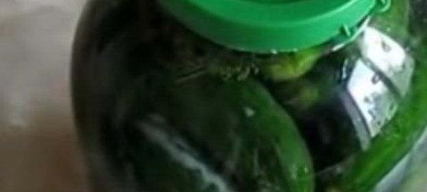 Огурцы соленые (холодный способ)