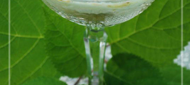 Десерт с крыжовником