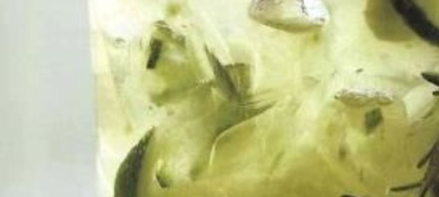 Желе из брусники с медом