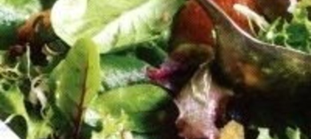 Зеленый салат с жареными ломтиками хлеба