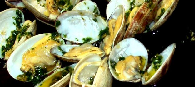 морские ракушки