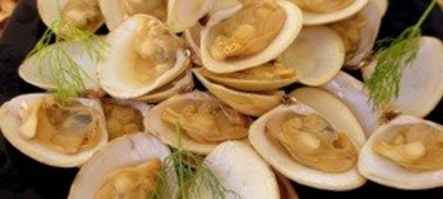 Вареные морские ракушки