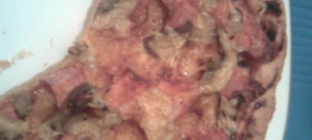 Пицца творожная