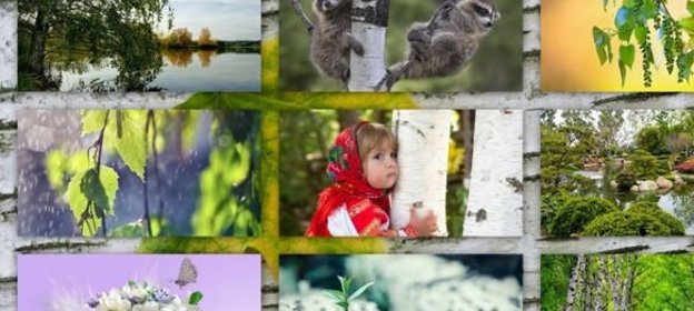 Говяжий стейк на узбекский манер