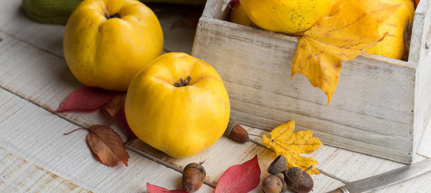 Все, что нужно знать об айве + рецепт джема