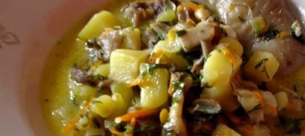 Рыбный бульон