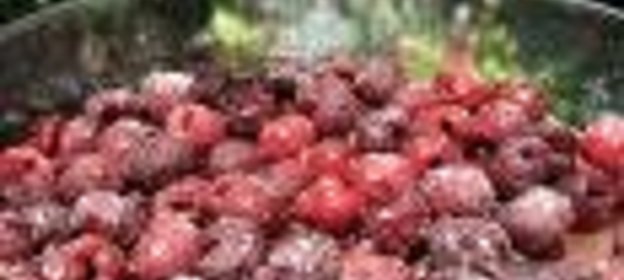 кекс с вишней