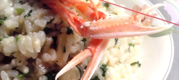 Ризотто с морскими гадами