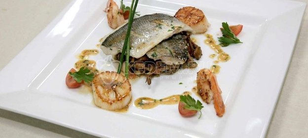 Морская каталония