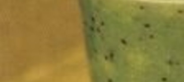 Медовый смузи с киви