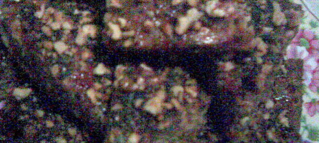 Пицца от Инночки