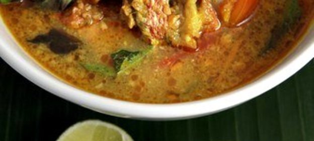 Уха из морского ангела