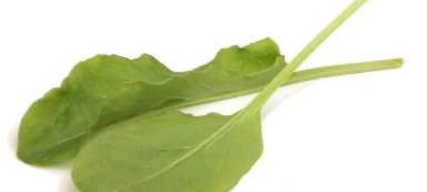 Салат со щавелем