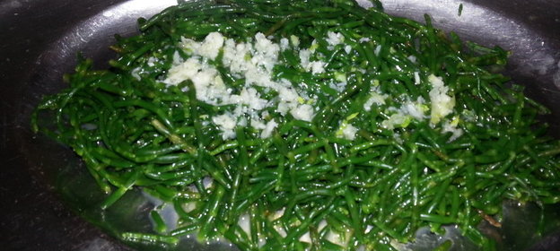 Салат из солероса(морская фасоль)