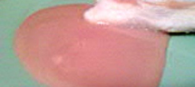 Как приготовить сгущеное молоко