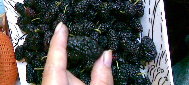 Салат овощной с морским гребешком