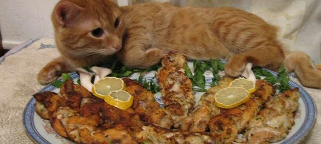 Надутый гусь