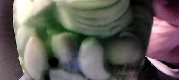 Чеснолук в маринаде