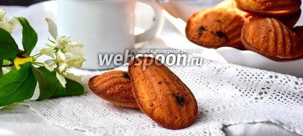 Печенье мадлен с чёрной смородиной