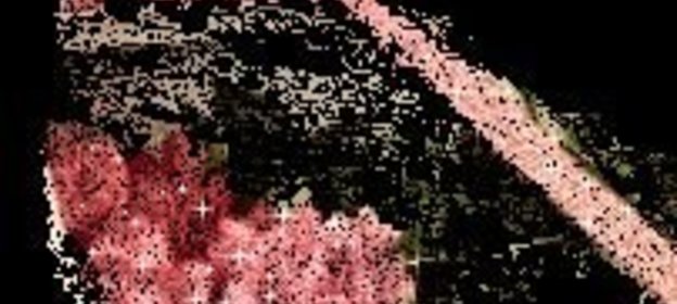 Оладьи из белокочанной капусты с грибным соусом