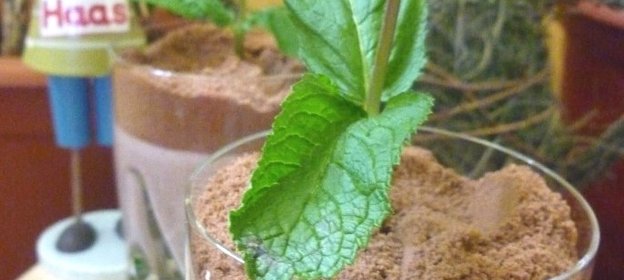 Десерт Посадила кроля мяту