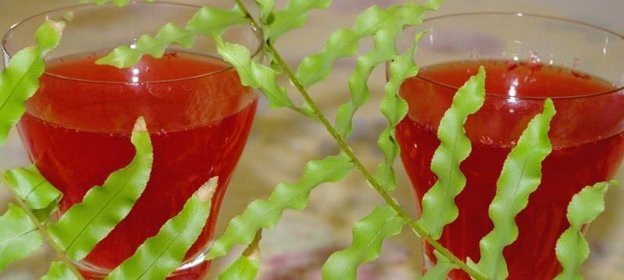 Клюквенный морс из клюквы