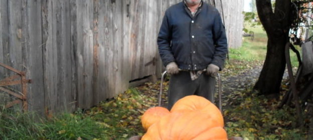 Овсяное печенье (квакер)