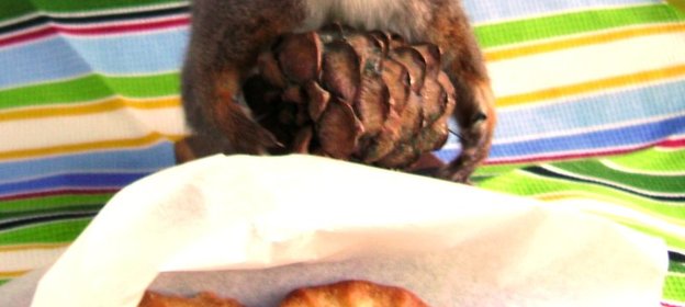 Хрустящее кедровое печенье