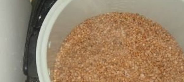 Оладьи яблочные