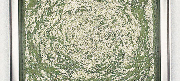 Соус из киви