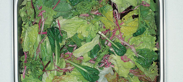 Салат из латука или руколлы