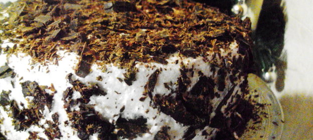 Шоколадный бисквит Genoise