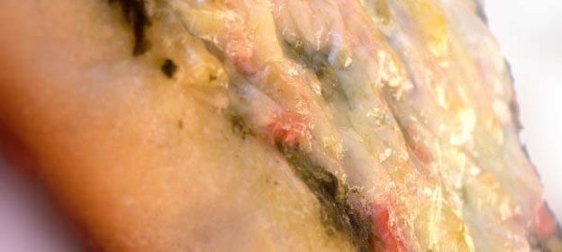 Пицца с семгой