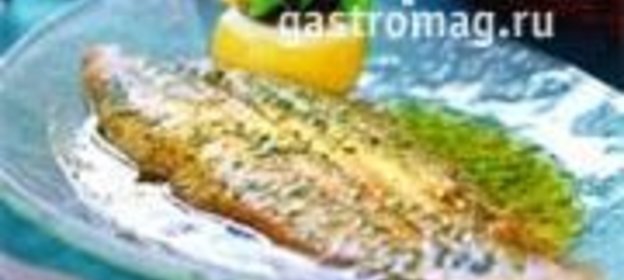 Морской язык Соль Маньер