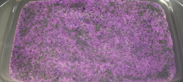 Морское дно