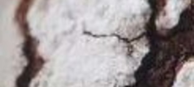 Печенье «Мокко»