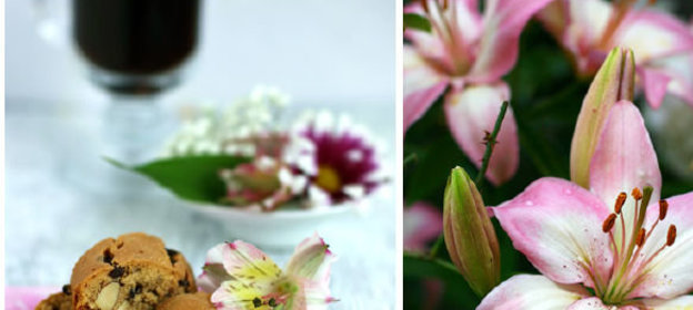 Кабачки в молочном соусе