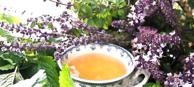 Сироп шалфея