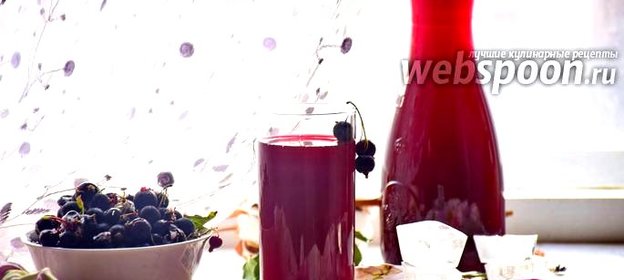 Морс из чёрной смородины